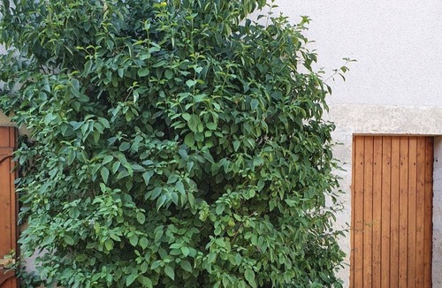 Varennes-les-Narcy Apartment | Logis Côté Cour