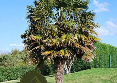 Chenac-Saint-Seurin-d'Uzet Bed & Breakfast | Logis de Chenac - Chambres et table d'hôtes