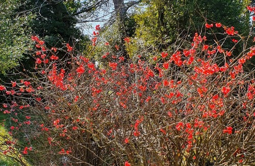 Villalbe House | Logis de Trencavel