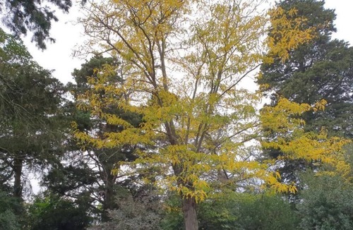 Villalbe House | Logis de Trencavel