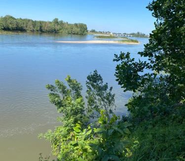 Montbazon Bed & Breakfast | Logis du Lièvre d'or