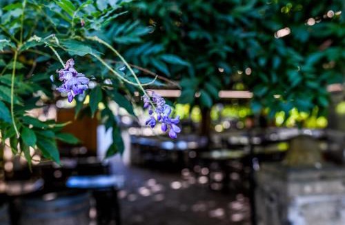 Itxassou Hotel | Logis Hôtel du Chêne