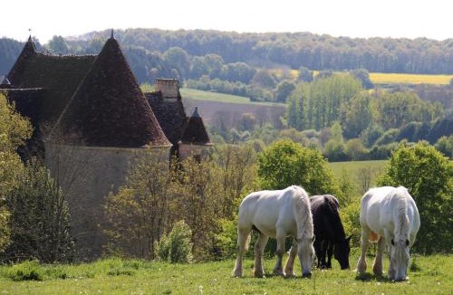La Chapelle-Montligeon Hotel | Logis- Hôtel & Restaurant Le Montligeon