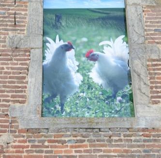 Saint-Germain-du-Bois Hotel | Logis Hostellerie Bressane