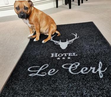 Briare Hotel | Logis Hotel Le Cerf