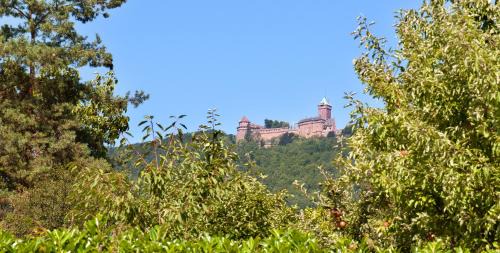 Saint-Hippolyte Hotel | Logis Hotel Le Parc & Spa