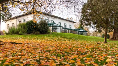 Wisques Hotel | Logis - Hotel Restaurant La Sapinière