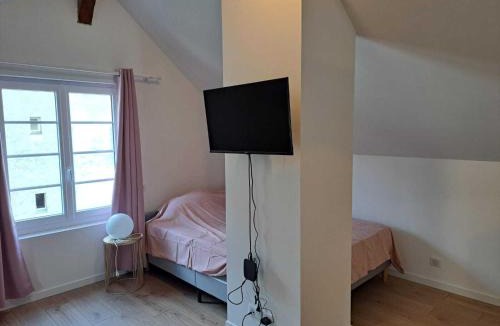 Ancenis Apartment | Loire and Baluchon