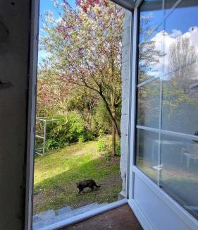 Ancenis Apartment | Loire and Baluchon