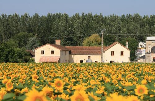 Berrie House | Loire Escapes - Maison D'Hibou