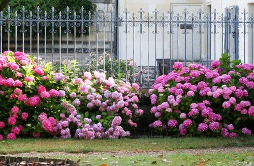 Bournand House | Loire Valley: Chateau de Bournand, nine acres park with pool, up to 18 guests