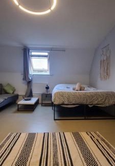 Anzin Apartment | Lola parking rénové 2 LITS proche cité congrès cocon cosy 29m2