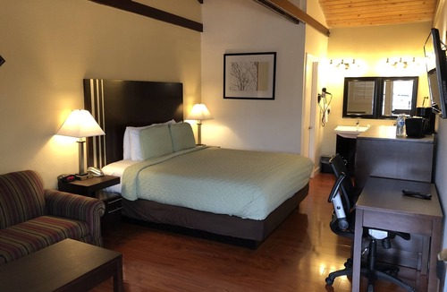 Cow Hollow Hotel | Lombard Plaza Motel