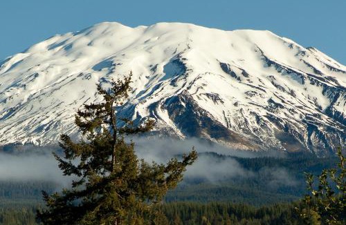 Cougar Resort | Lone Fir Resort