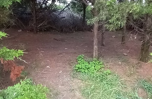 Elkland RV Rental | Lonely Pine @B Berry Farms