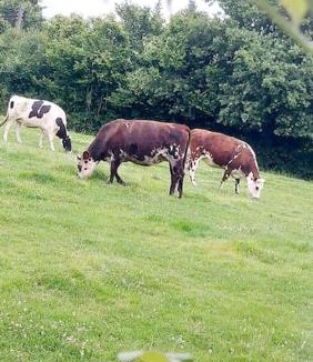 La Rouge House | Longère de charme, calme et nature dans le Perche