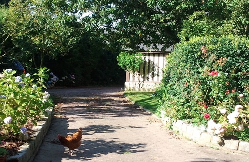 Sausseuzemare-en-Caux Cottage | Longère (traditional long house) in Pays de Caux on wooded grounds