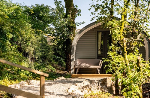 Skipton Cabin | Long Ashes - Pip- sleeps 2