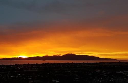 Paraparaumu Bed & Breakfast | Long House Studio