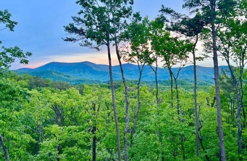 Cherry Log House | Long Ridge Lodge