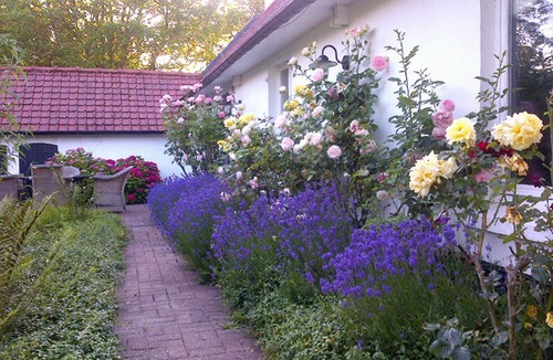 Monchaux Cottage | Longère du Marquenterre 10 minutes from the Baie de Somme and 5 minutes from the beach.