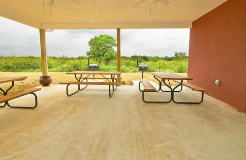 Pleasanton House | Longhorn Museum Tour! 3 Pet-friendly Units w/ Private Kitchens & Free Parking!