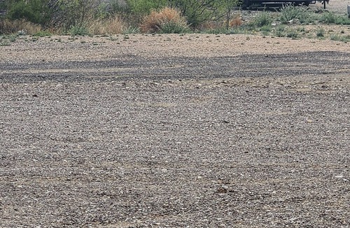 Study Butte-Terlingua RV Rental | Longhorn Ranch Motel - Full Hook-Up RV Park with Power and Sewer