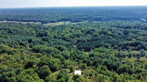 Tay Valley House | Longview Spectacular Forest Views on 88 Acres