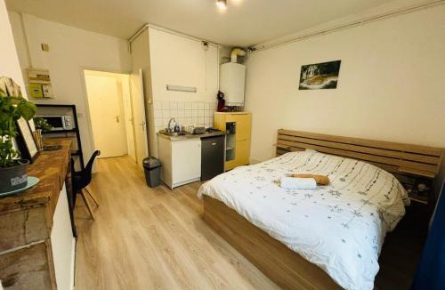 Lons-le-Saunier Apartment | Lons City Studio