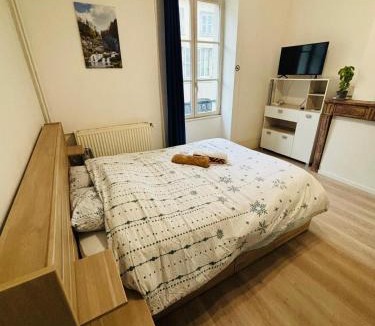 Lons-le-Saunier Apartment | Lons City Studio