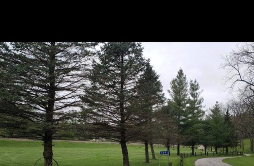 McGregor Cabin | Looking for a nice secluded area away!!!