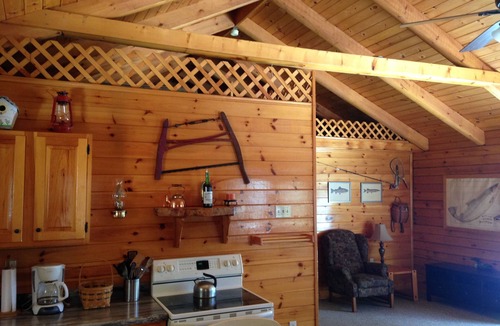 Chester Shores Cabin | Loon Lake Log Cabin with canoe and kayaks, fire pit, and game room!