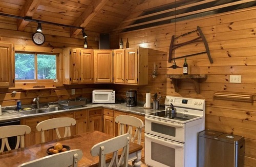 Chester Shores Cabin | Loon Lake Log Cabin with canoe and kayaks, fire pit, and game room!