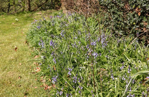 Hope Valley Cottage | Loose Hill Lea