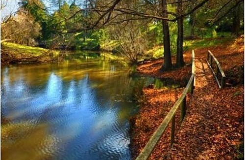 Kyneton House | Loose Leaf Cottage