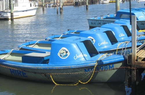 Mordialloc Apartment | Lorikeet Studio Apartment - 7 night minimum stay