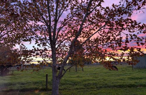 Lorn House | Lorn Farm Stay