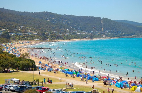 Lorne Apartment | Lorne Apartment Escape