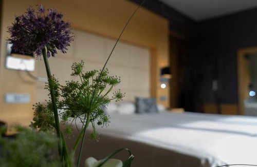Ayllon Hotel | Los Claustros de Ayllón
