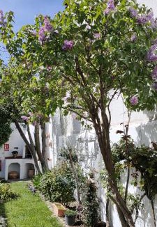 Buendia House | LOS SUEÑOS DE BUENDÍA