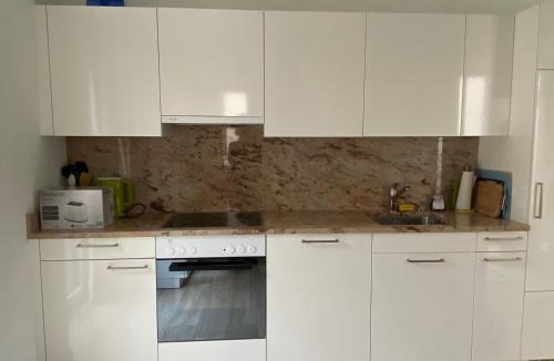 Arcegno Apartment | Losone - Locarno, Rustico San Giorgio