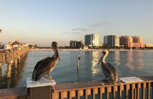 Clearwater House | LOTUS House