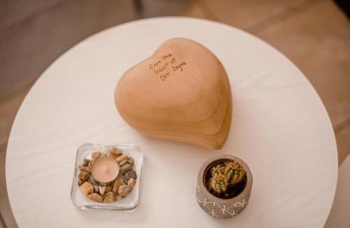Torre Bed & Breakfast | Lotus Oasis I Nature Experience