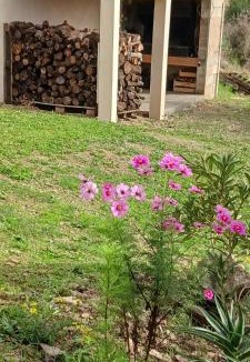 Lastours Ski Chalet | LOU CABANOT CHALET DE JARDIN CALME ET CONFORTABLE