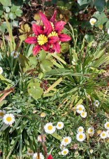 Figanieres Bed & Breakfast | Lou Viei Jas