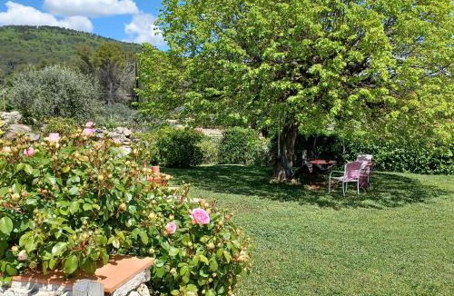 Figanieres Bed & Breakfast | Lou Viei Jas