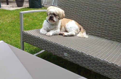 Benodet House | Loue Maison Individuelle