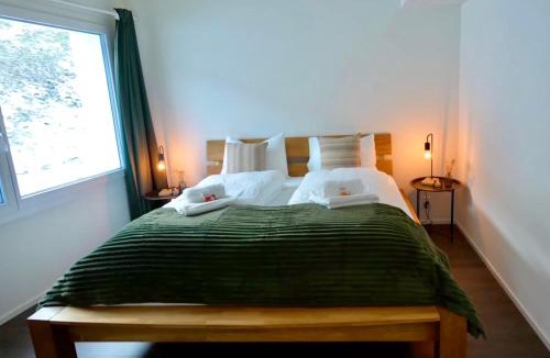 Alt Sankt Johann Apartment | Louisa's Gallery - Whirlpool - Berge & Wandern - Abendruhe - familien- & gruppenfreundlich - 1h von Zürich