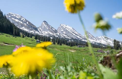 Alt Sankt Johann Apartment | Louisa's Gallery - Whirlpool - Berge & Wandern - Abendruhe - familien- & gruppenfreundlich - 1h von Zürich