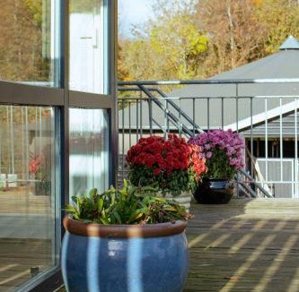 Skovbyballe Bed & Breakfast | Louiselund Bed & Breakfast